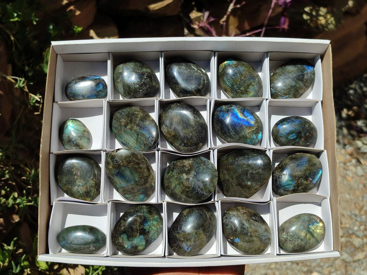 Polished Labradorite Palm Stones x 20 From Madagascar - Toprock Gemstones and Minerals 