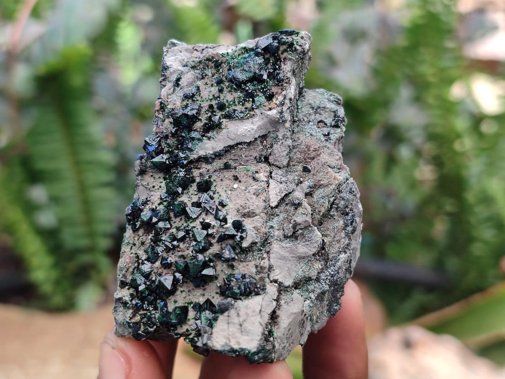 Natural Libethenite Crystals on Dolomite Matrix Specimens x 12 From Shituru, Congo