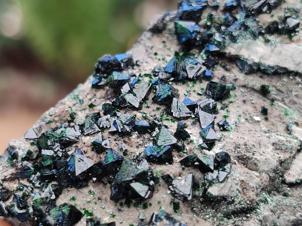 Natural Libethenite Crystals on Dolomite Matrix Specimens x 12 From Shituru, Congo