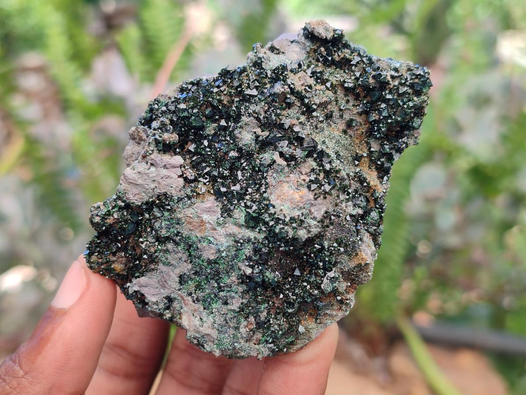 Natural Libethenite Crystals on Dolomite Matrix Specimens x 12 From Shituru, Congo