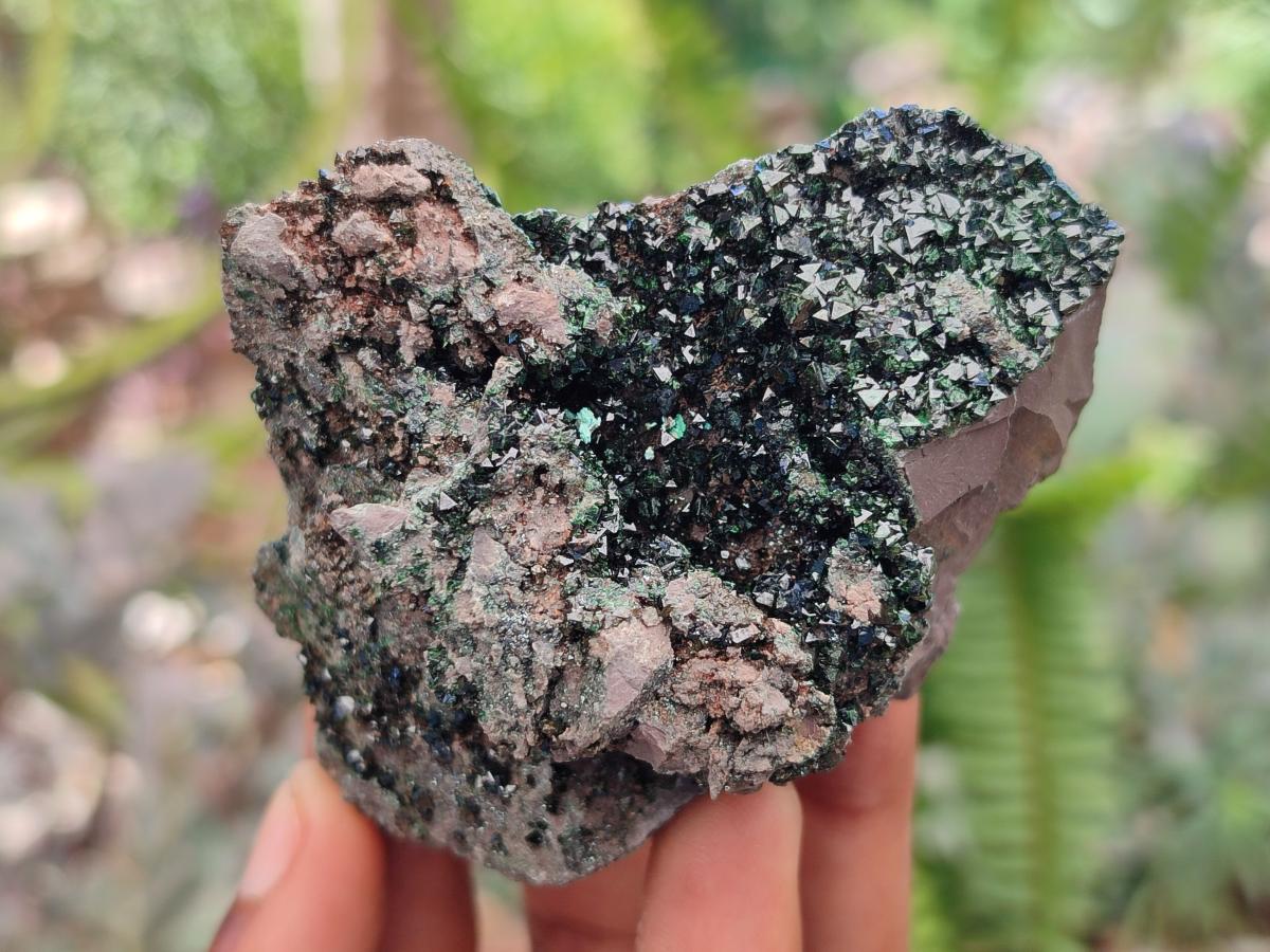 Natural Libethenite Crystals on Dolomite Matrix Specimens x 12 From Shituru, Congo