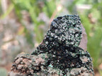 Natural Libethenite Crystals on Dolomite Matrix Specimens x 12 From Shituru, Congo