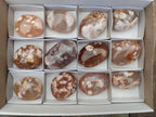 Polished Flower Agate Palm Stones x 12 From Antsahalova, Madagascar