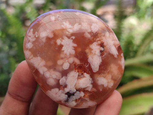 Polished Flower Agate Palm Stones x 12 From Antsahalova, Madagascar