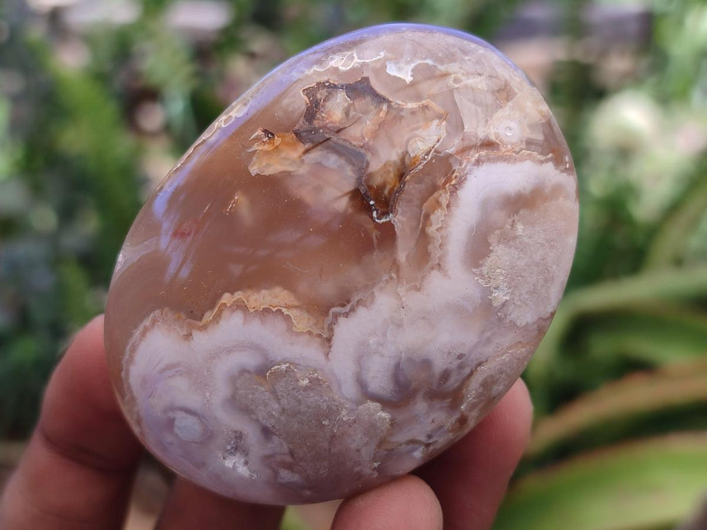 Polished Flower Agate Palm Stones x 12 From Antsahalova, Madagascar