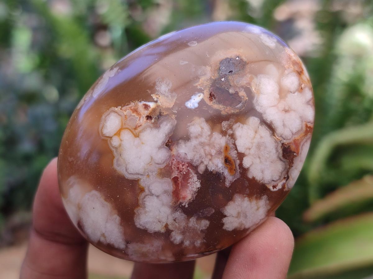 Polished Flower Agate Palm Stones x 12 From Antsahalova, Madagascar