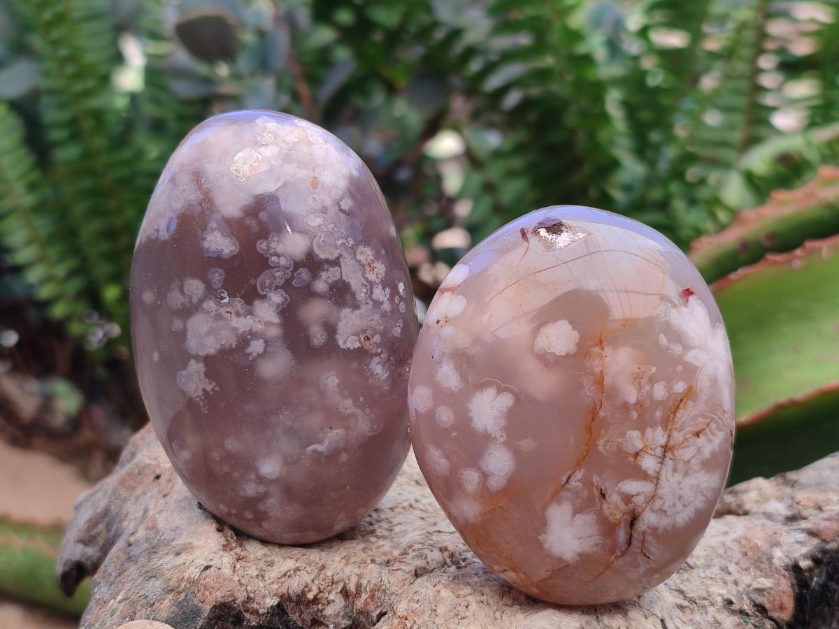 Polished Flower Agate Palm Stones x 12 From Antsahalova, Madagascar