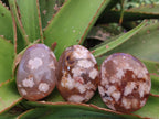 Polished Flower Agate Palm Stones x 12 From Antsahalova, Madagascar