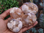 Polished Flower Agate Palm Stones x 12 From Antsahalova, Madagascar