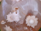 Polished Flower Agate Palm Stones x 12 From Antsahalova, Madagascar