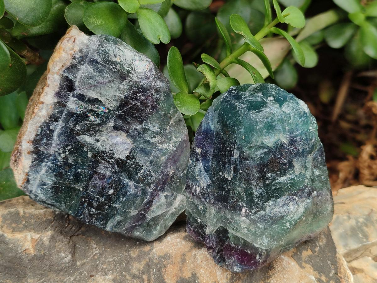 Natural Watermelon Fluorite Cobbed Specimens x 14 From Uis, Namibia