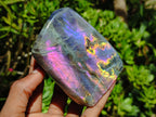 Polished Rare Purple Sunset Flash Labradorite Standing Free Forms x 3 From Madagascar - Toprock Gemstones and Minerals 