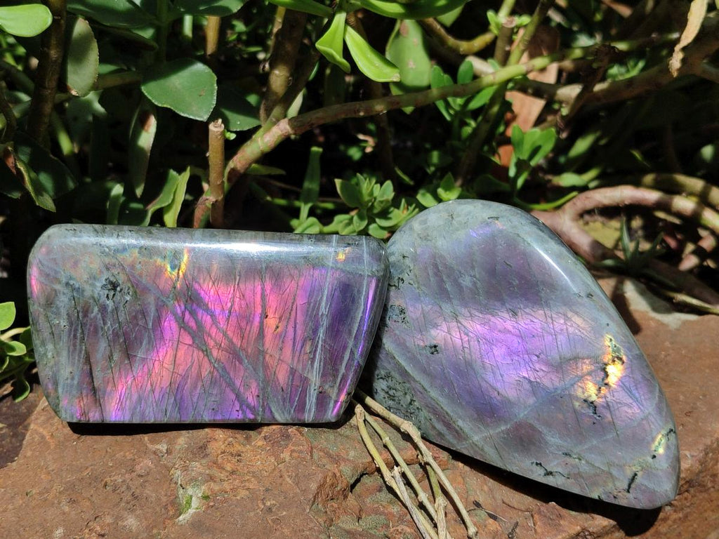 Polished Rare Purple Sunset Flash Labradorite Standing Free Forms x 3 From Madagascar - Toprock Gemstones and Minerals 