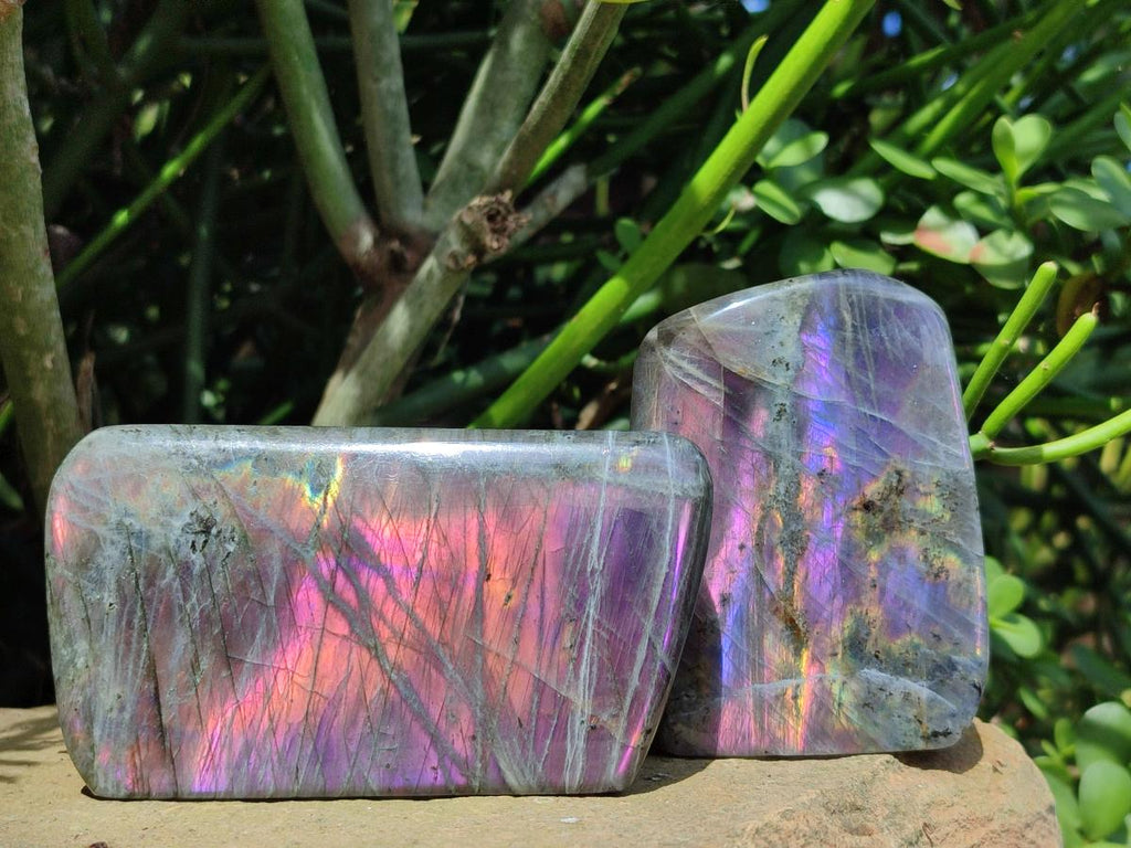 Polished Rare Purple Sunset Flash Labradorite Standing Free Forms x 3 From Madagascar - Toprock Gemstones and Minerals 