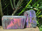 Polished Rare Purple Sunset Flash Labradorite Standing Free Forms x 3 From Madagascar - Toprock Gemstones and Minerals 