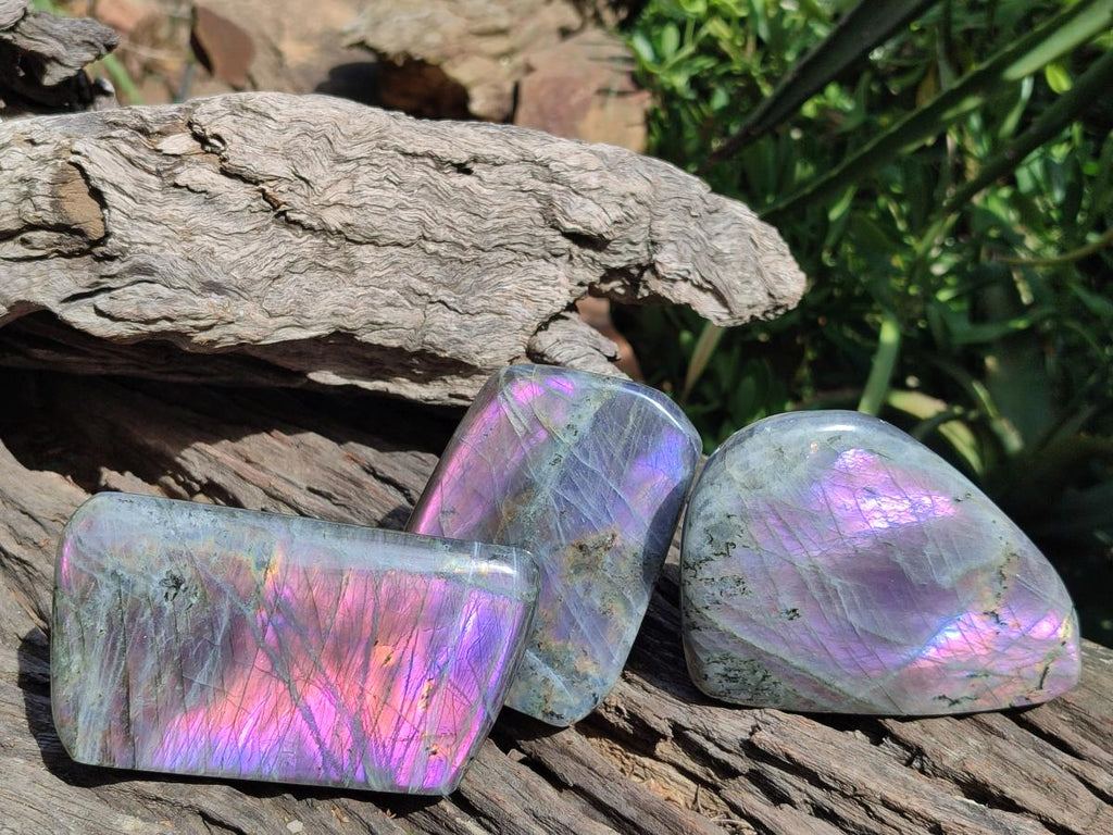 Polished Rare Purple Sunset Flash Labradorite Standing Free Forms x 3 From Madagascar - Toprock Gemstones and Minerals 