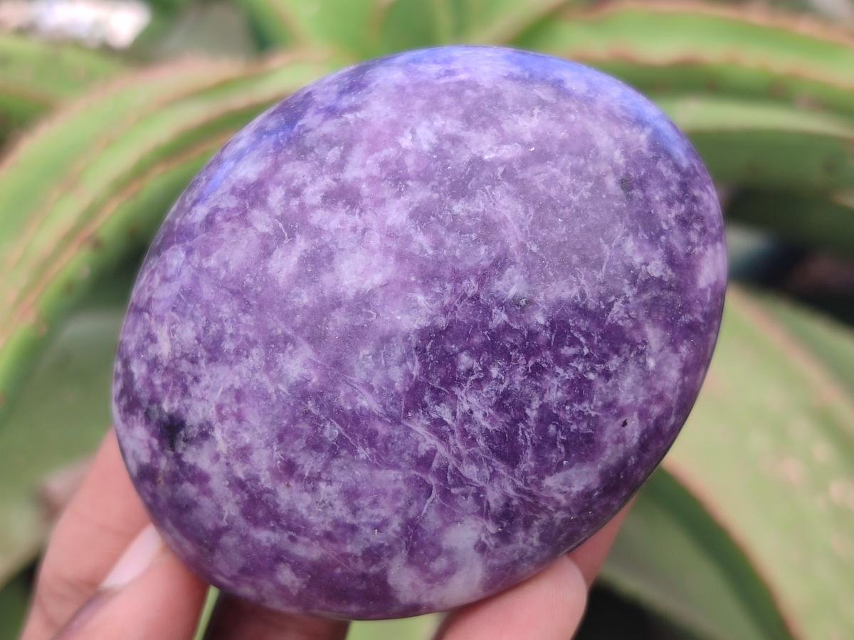 Polished Large Lepidolite Free Forms x 6 From Zimbabwe