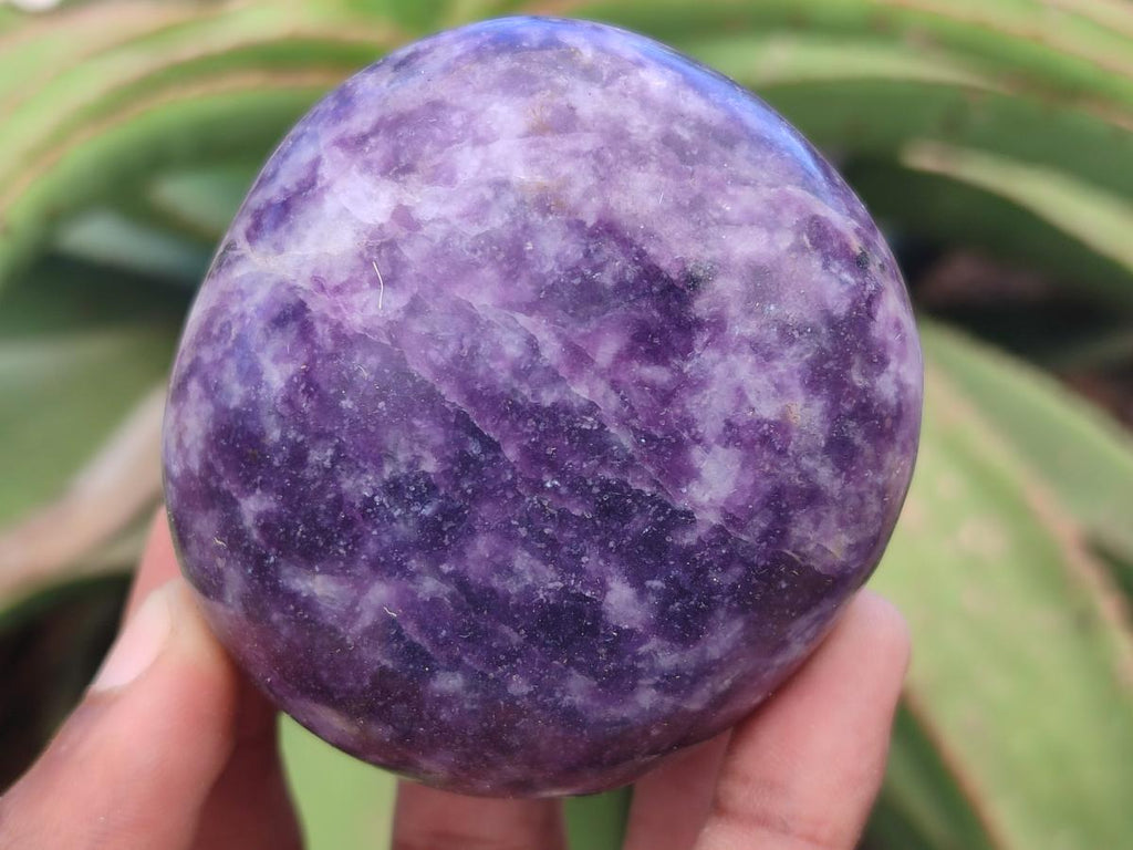 Polished Large Lepidolite Free Forms x 6 From Zimbabwe