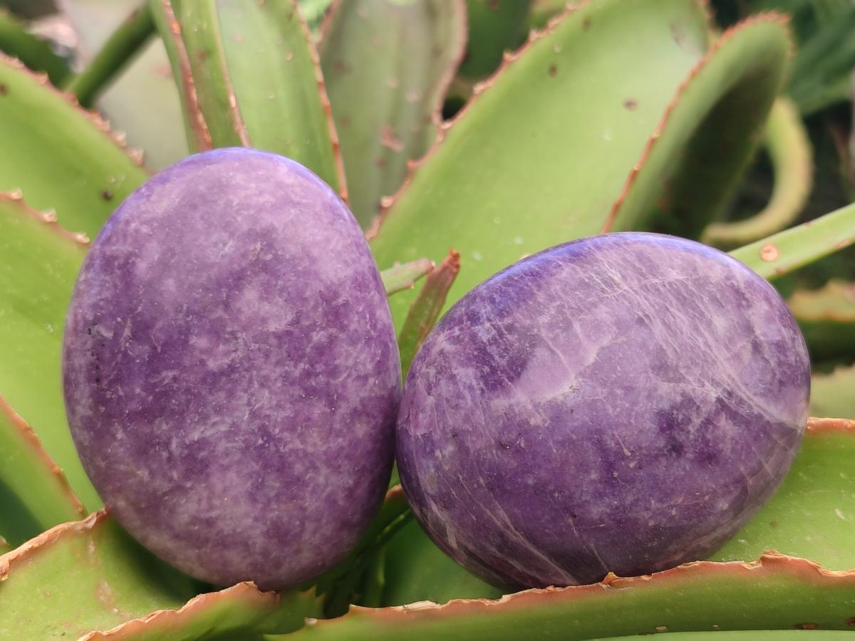 Polished Large Lepidolite Free Forms x 6 From Zimbabwe