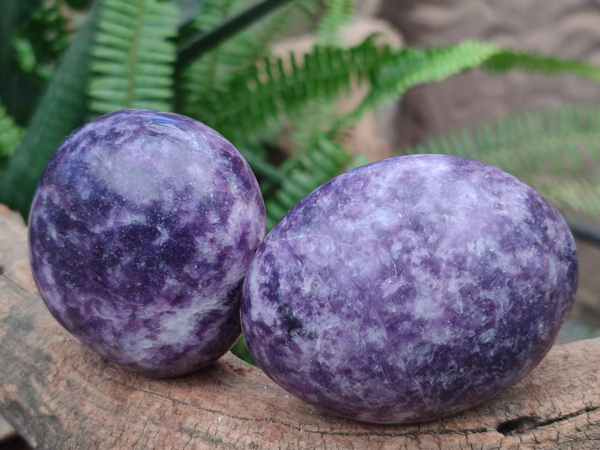 Polished Large Lepidolite Free Forms x 6 From Zimbabwe