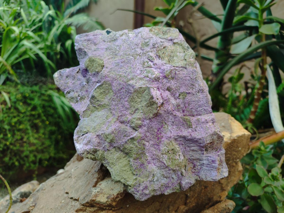 Natural XXL Stichtite and Serpentine Cobbed Specimens x 2 From Barberton, South Africa