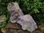 Natural XXL Stichtite and Serpentine Cobbed Specimens x 2 From Barberton, South Africa