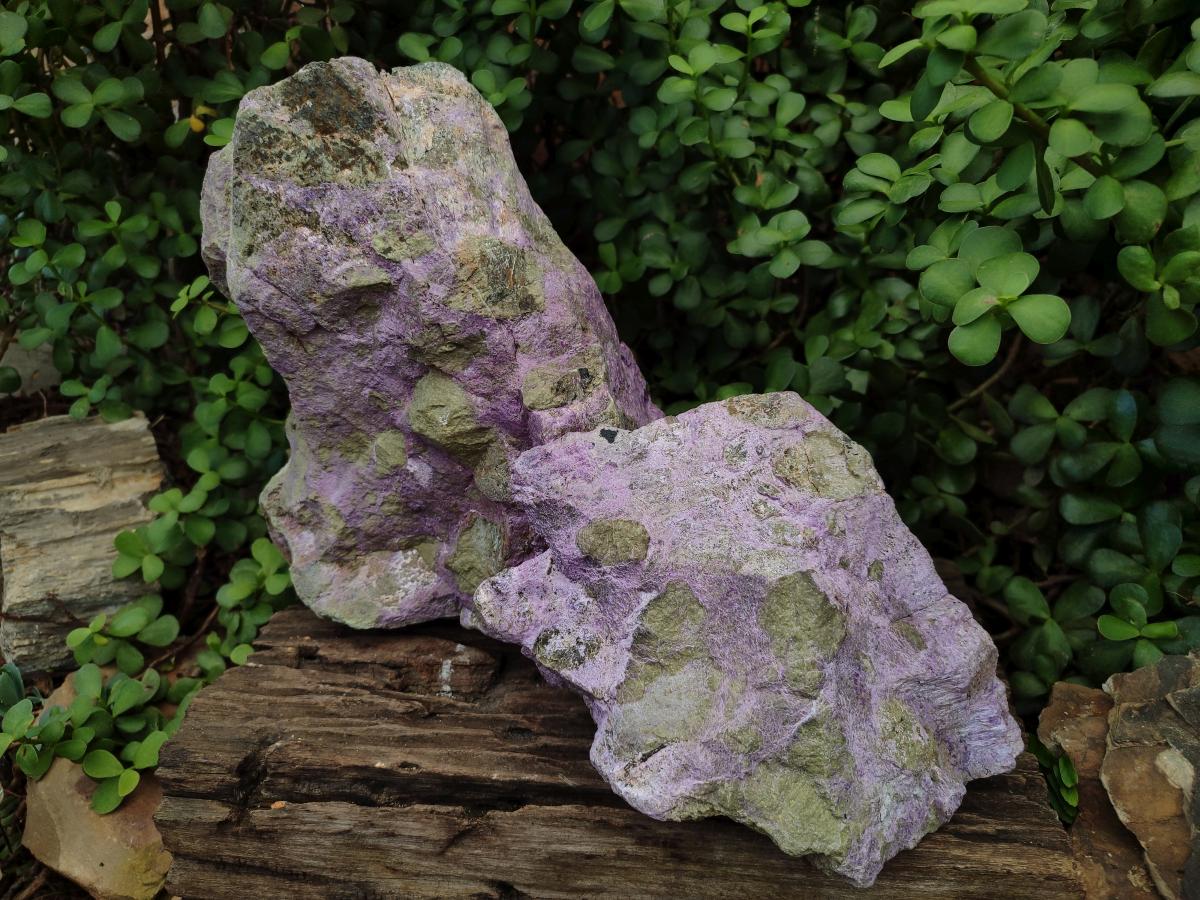 Natural XXL Stichtite and Serpentine Cobbed Specimens x 2 From Barberton, South Africa