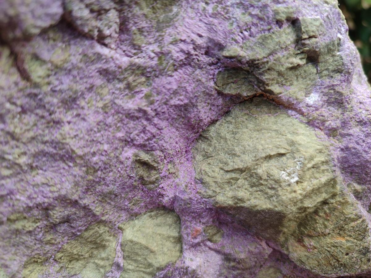 Natural XXL Stichtite and Serpentine Cobbed Specimens x 2 From Barberton, South Africa