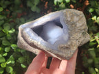 Natural Blue Lace Agate Geode Specimens x 2 From Nsanje, Malawi - Toprock Gemstones and Minerals 