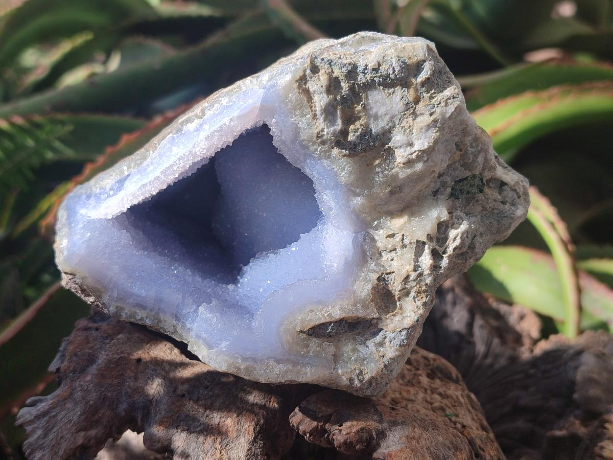 Natural Blue Lace Agate Geode Specimens x 2 From Nsanje, Malawi - Toprock Gemstones and Minerals 
