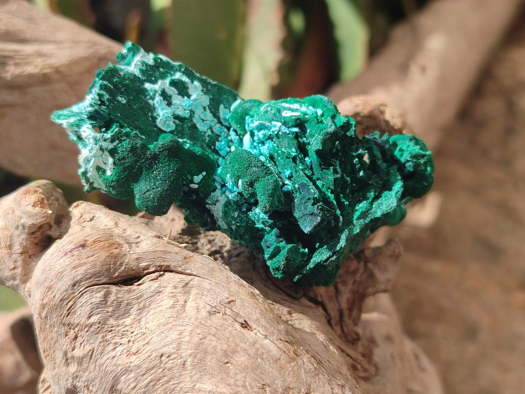 Natural Rare Malachite Pseudomorph Specimens x 6 From Kolwezi, Congo
