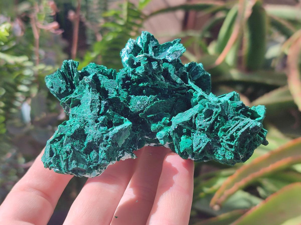 Natural Rare Malachite Pseudomorph Specimens x 6 From Kolwezi, Congo