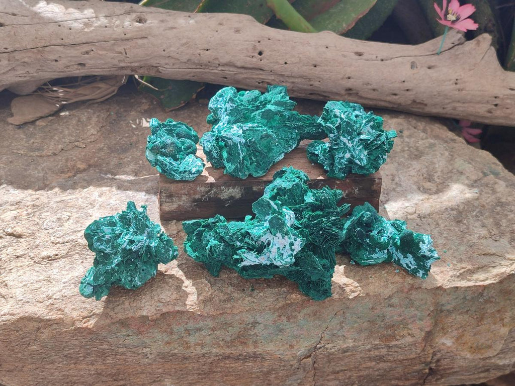 Natural Rare Malachite Pseudomorph Specimens x 6 From Kolwezi, Congo