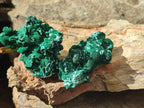 Natural Rare Malachite Pseudomorph Specimens x 6 From Kolwezi, Congo