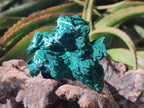 Natural Rare Malachite Pseudomorph Specimens x 6 From Kolwezi, Congo