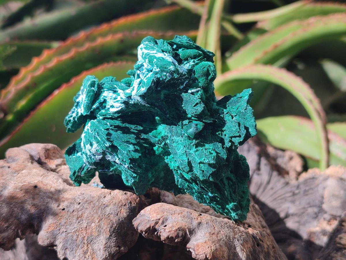 Natural Rare Malachite Pseudomorph Specimens x 6 From Kolwezi, Congo