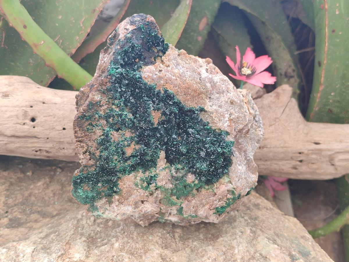 Natural Large Crystalline Malachite Specimen x 1 From Tenke Fungurume, Congo - Toprock Gemstones and Minerals 