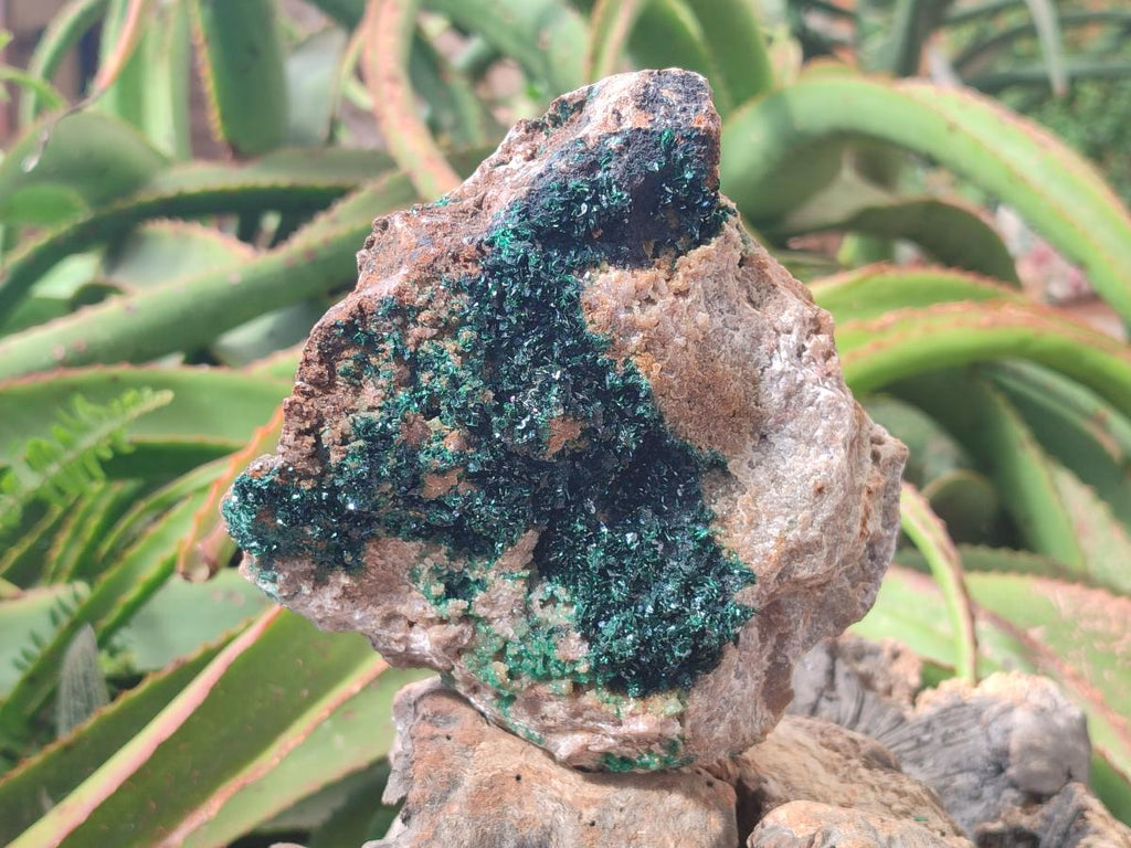 Natural Large Crystalline Malachite Specimen x 1 From Tenke Fungurume, Congo - Toprock Gemstones and Minerals 