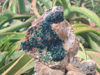 Natural Large Crystalline Malachite Specimen x 1 From Tenke Fungurume, Congo - Toprock Gemstones and Minerals 