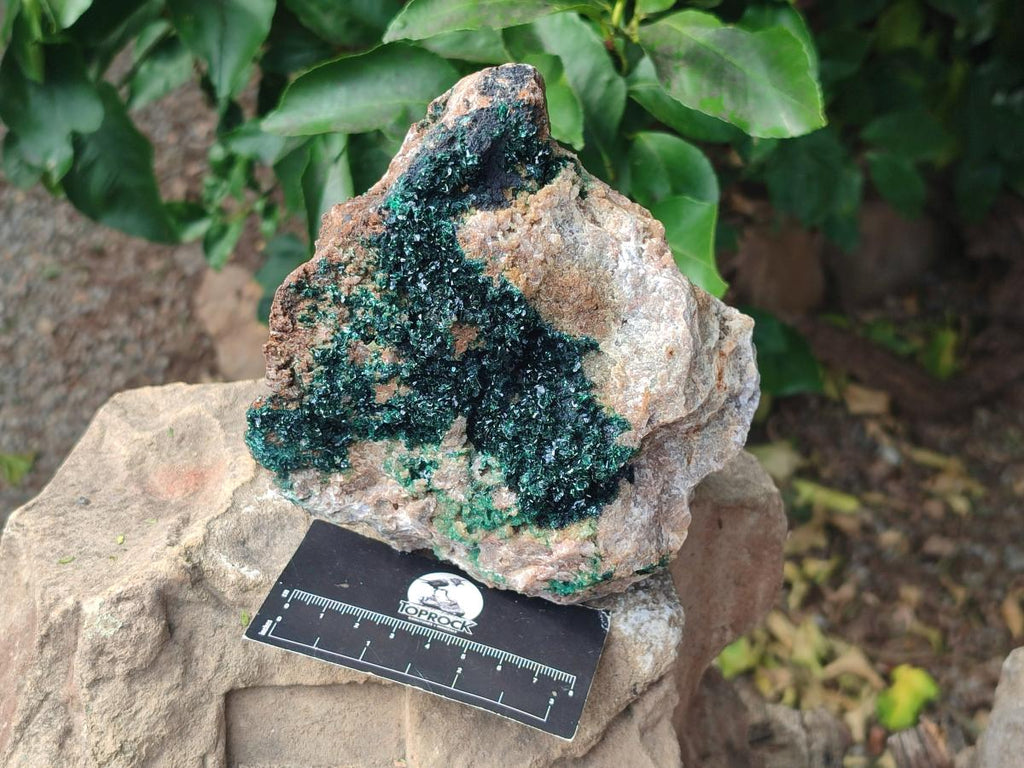 Natural Large Crystalline Malachite Specimen x 1 From Tenke Fungurume, Congo - Toprock Gemstones and Minerals 