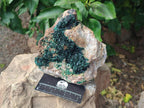 Natural Large Crystalline Malachite Specimen x 1 From Tenke Fungurume, Congo - Toprock Gemstones and Minerals 