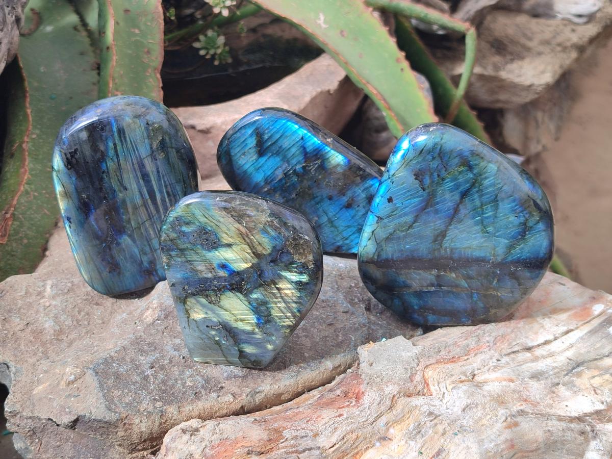 Polished Labradorite Standing Free Forms x 4 From Madagascar