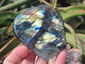 Polished Labradorite Standing Free Forms x 4 From Madagascar