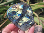 Polished Labradorite Standing Free Forms x 4 From Madagascar