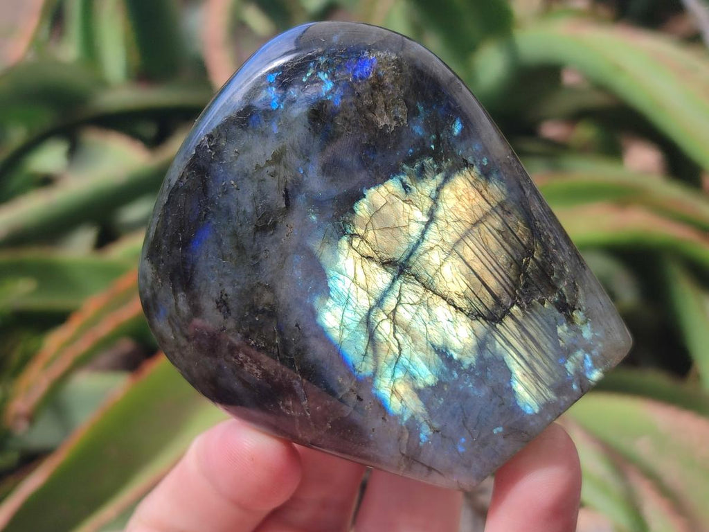 Polished Labradorite Standing Free Forms x 4 From Madagascar