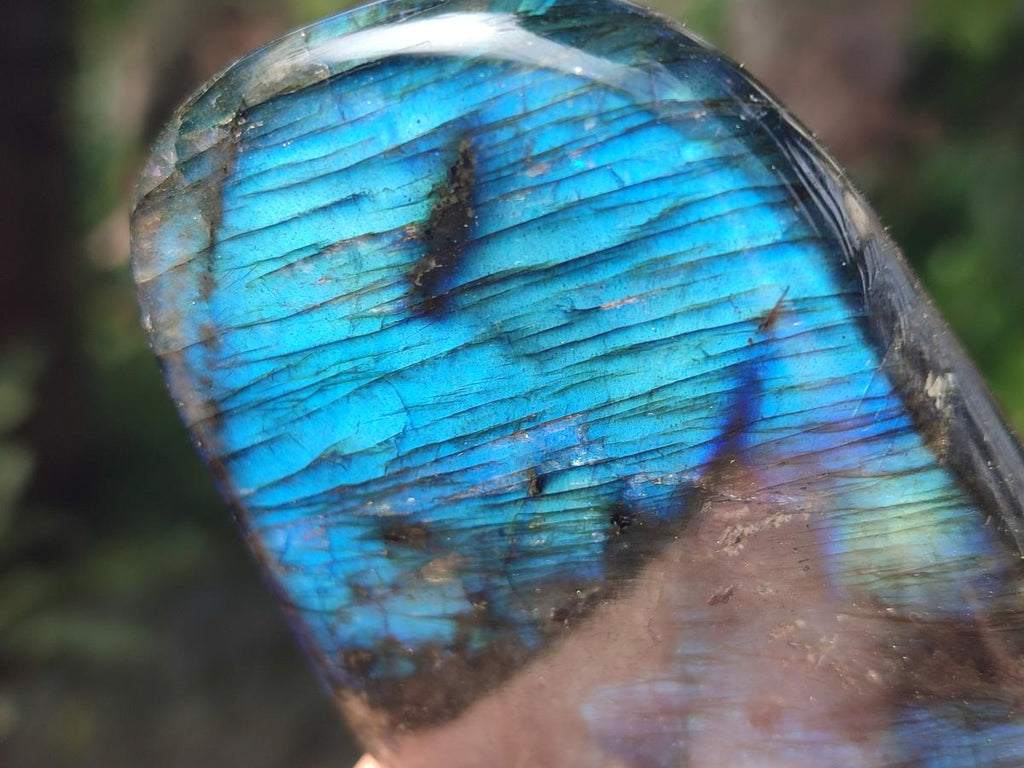 Polished Labradorite Standing Free Forms x 4 From Madagascar