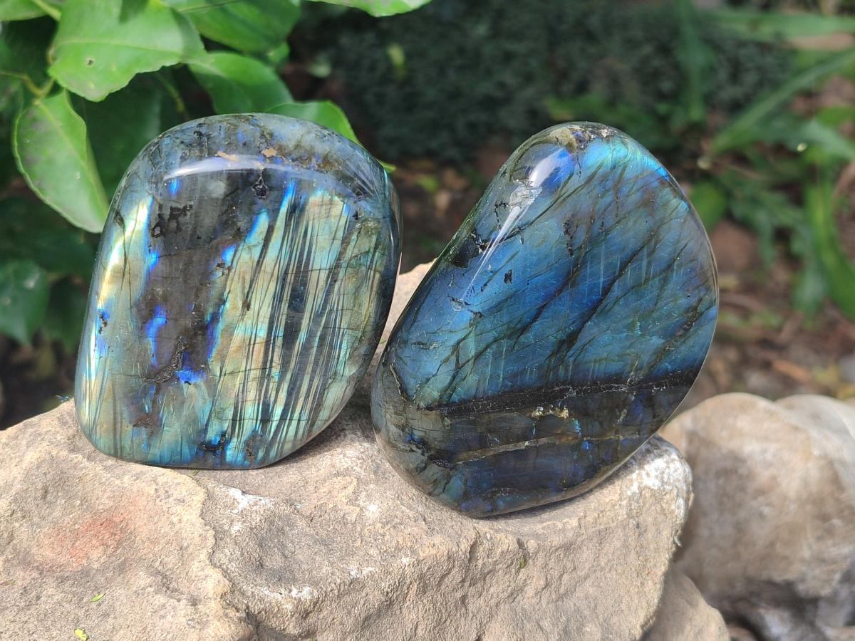 Polished Labradorite Standing Free Forms x 4 From Madagascar