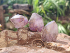 Natural Window Amethyst Crystals x 35 From Ambatondrazaka, Madagascar - Toprock Gemstones and Minerals 