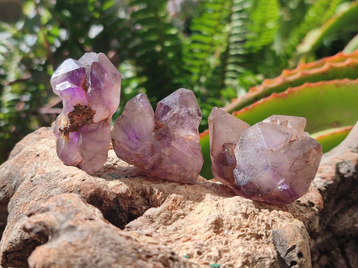 Natural Window Amethyst Crystals x 35 From Ambatondrazaka, Madagascar - Toprock Gemstones and Minerals 