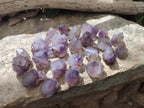Natural Window Amethyst Crystals x 35 From Ambatondrazaka, Madagascar - Toprock Gemstones and Minerals 